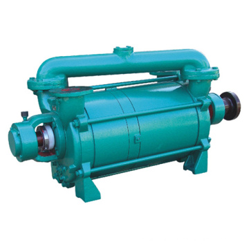 Rotary Liquid Ring Vacuum Pump